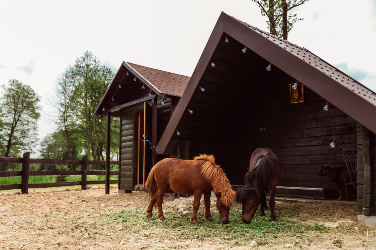 Kraina Poraj Holiday home *